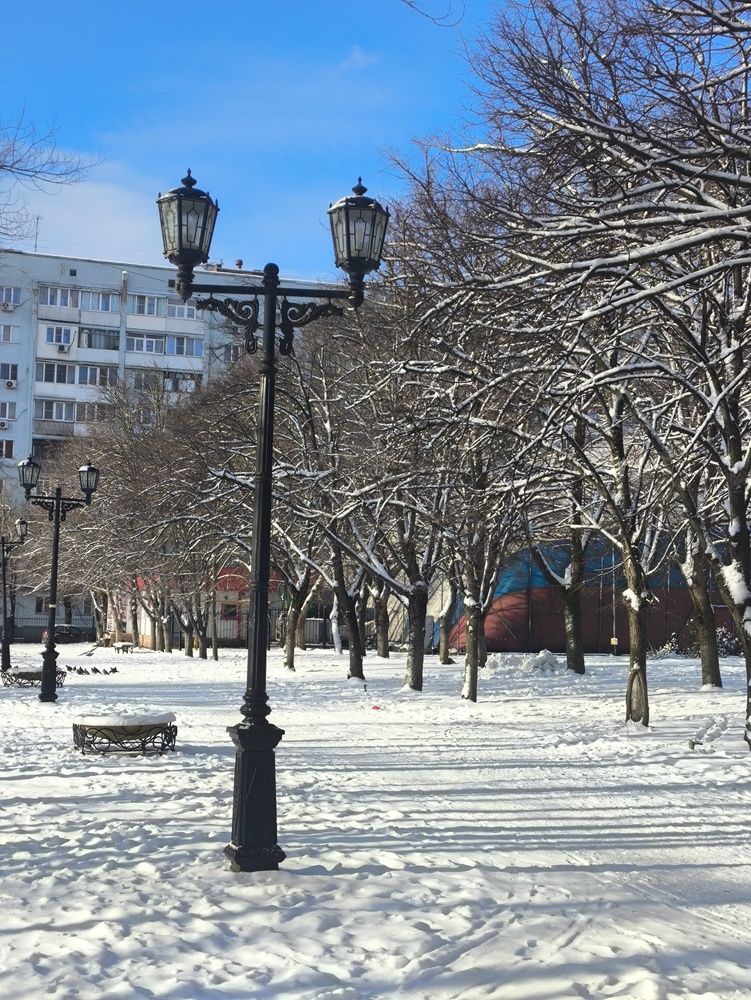 Фотография автора Ольга Некрасова