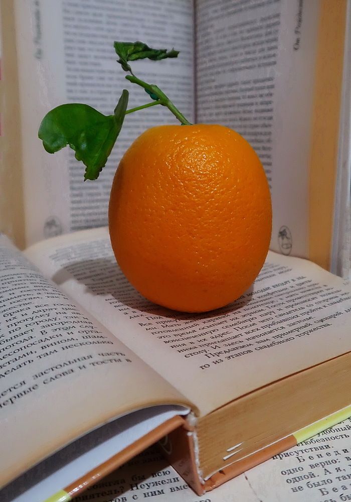 Photograph by Нина