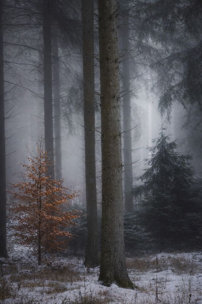 Photograph by Olga Schmidt