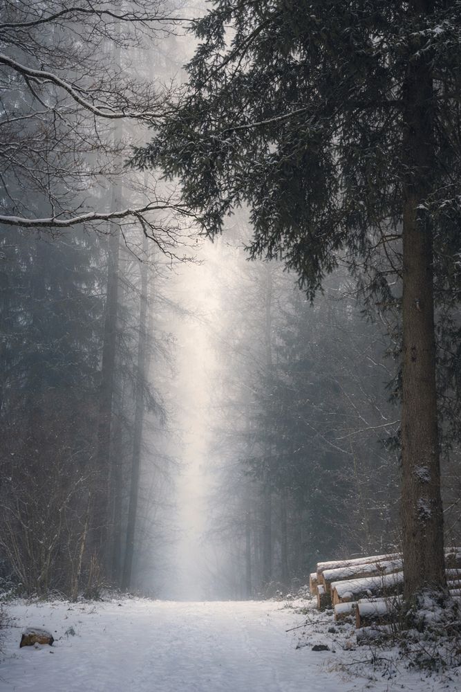 Photograph by Olga Schmidt