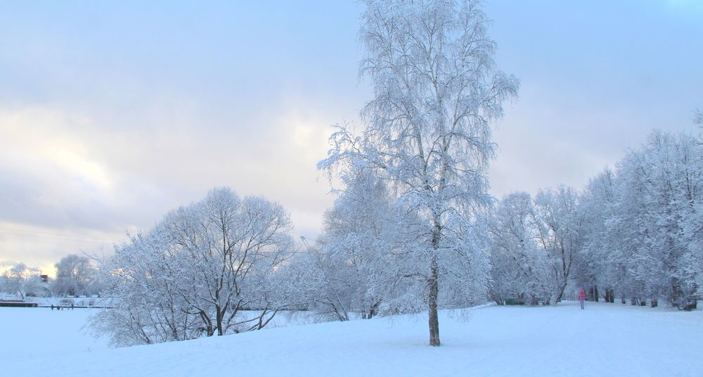 Photograph by Жанна Нечаева