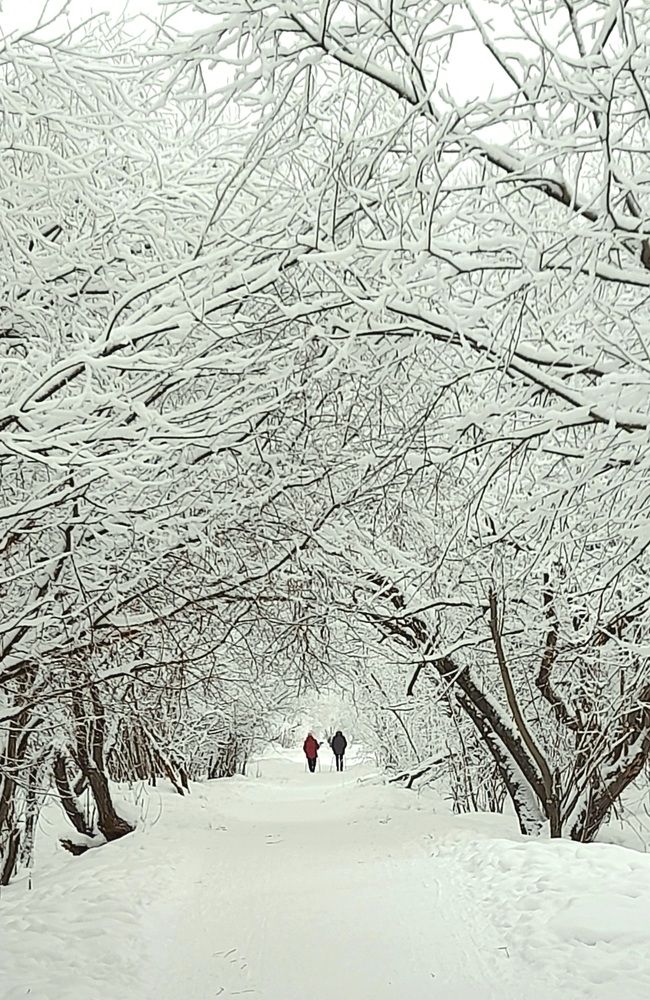 Photograph by Соколова Елена