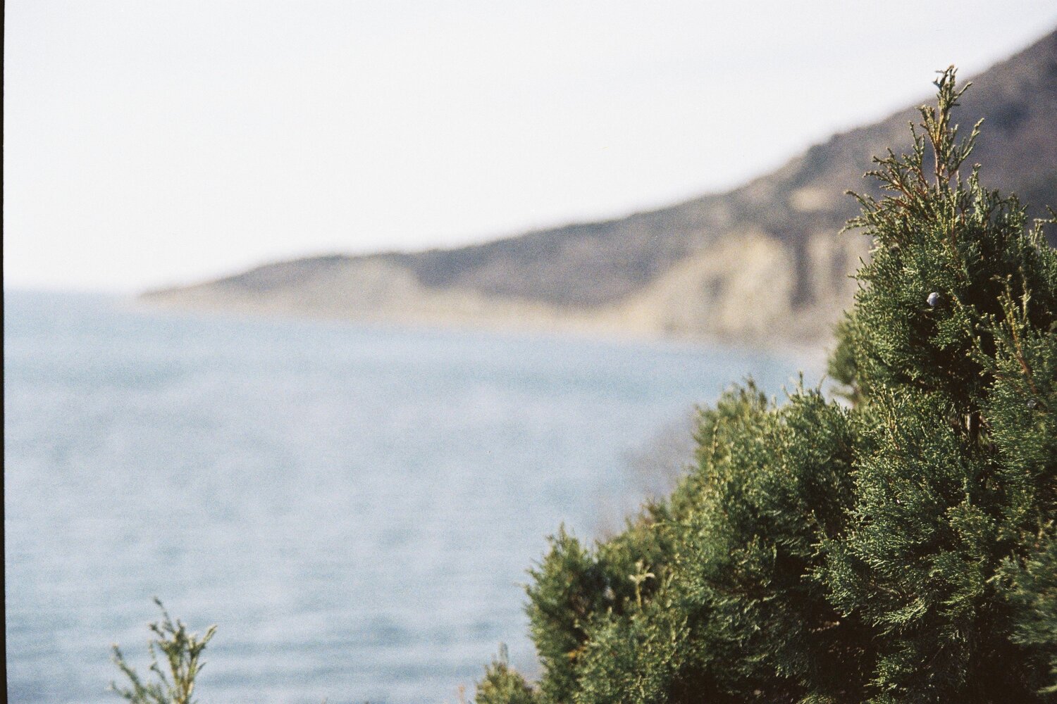 Photo #13058575