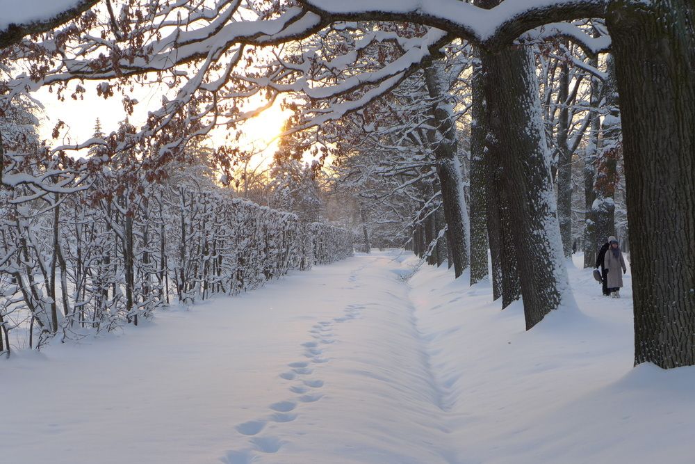 Photograph by Харис Шахмаметьев