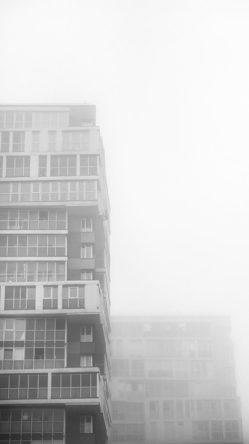 Photo #13058597