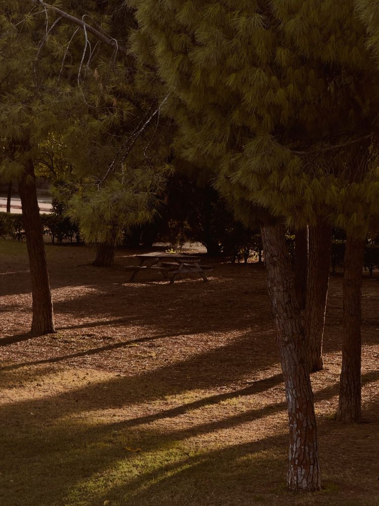 Photograph by Алёна Яцкевич