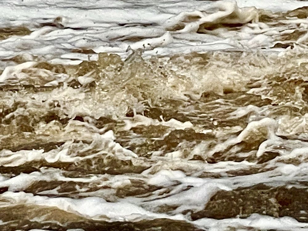 Photograph by Rosana Moyano