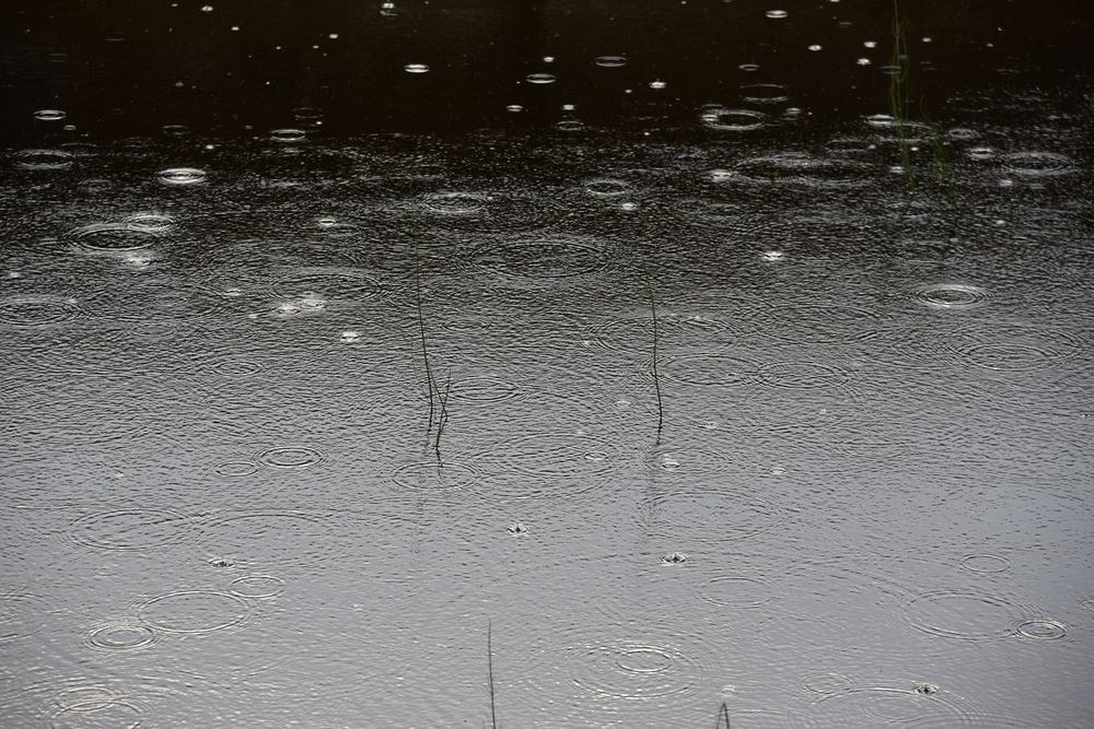 Photograph by Ольга Струкалина