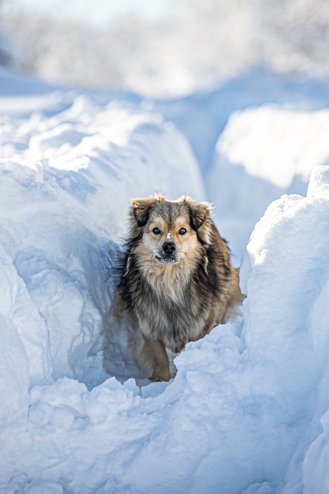 Фотография автора Михаил Лупина