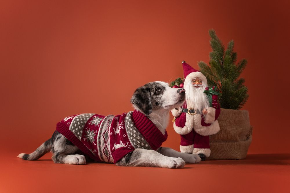 Photograph by Андрианова Ирина