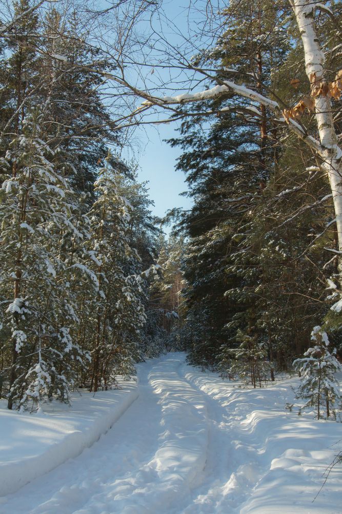 Photograph by Виталий Новиков