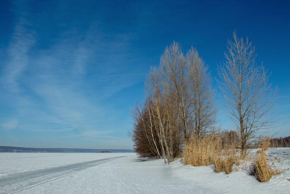 Photograph by Виталий Новиков