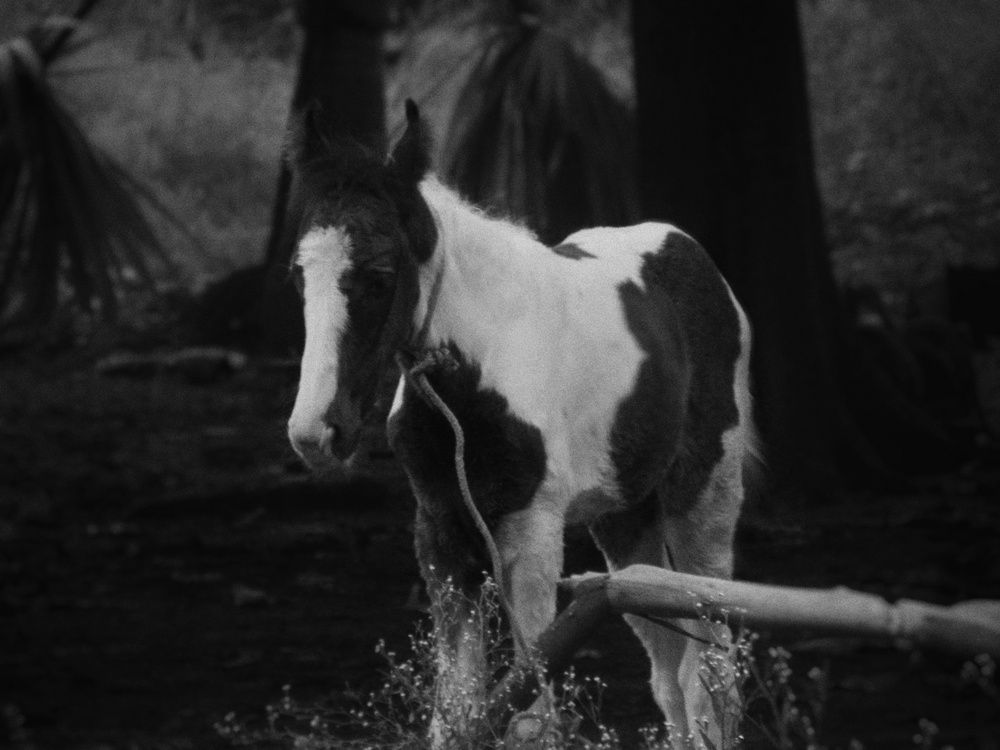 Photograph by Rohan Bose