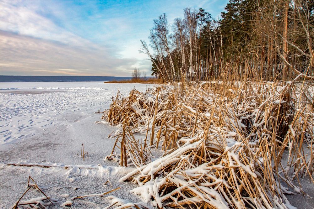 Photograph by Виталий Новиков