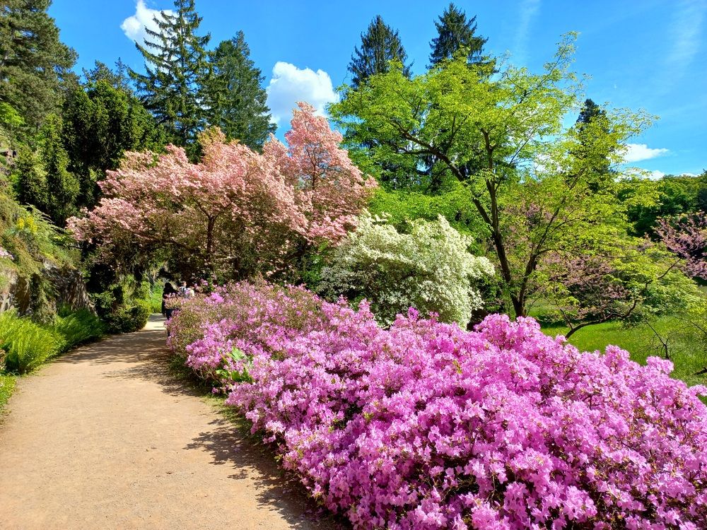 Park Pruhonice, Czechia