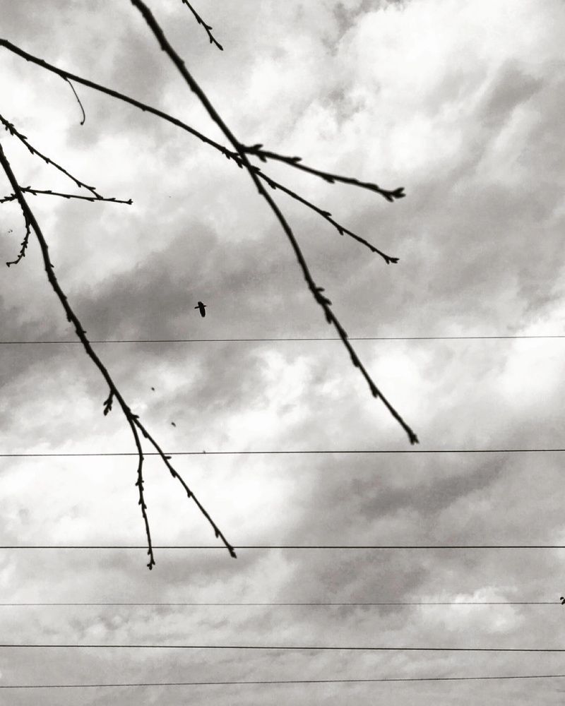 Photograph by Александр Сакович