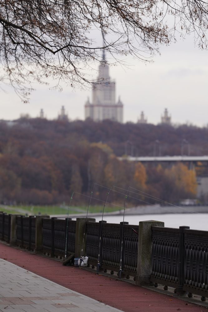 Фотография автора Андрей Груцинов