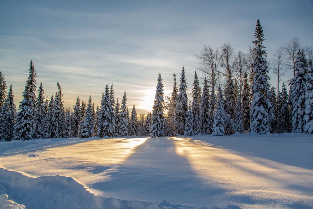 Фотография автора Семенов Александр