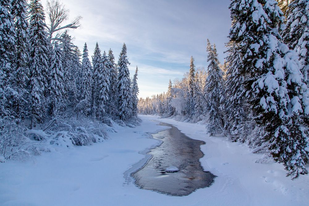 Фотография автора Семенов Александр