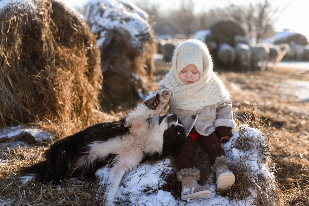 Photograph by Келлер Ольга