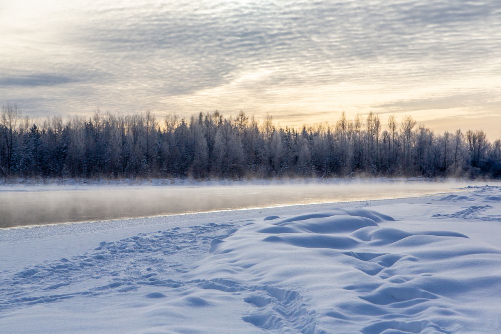 Фотография автора Семенов Александр