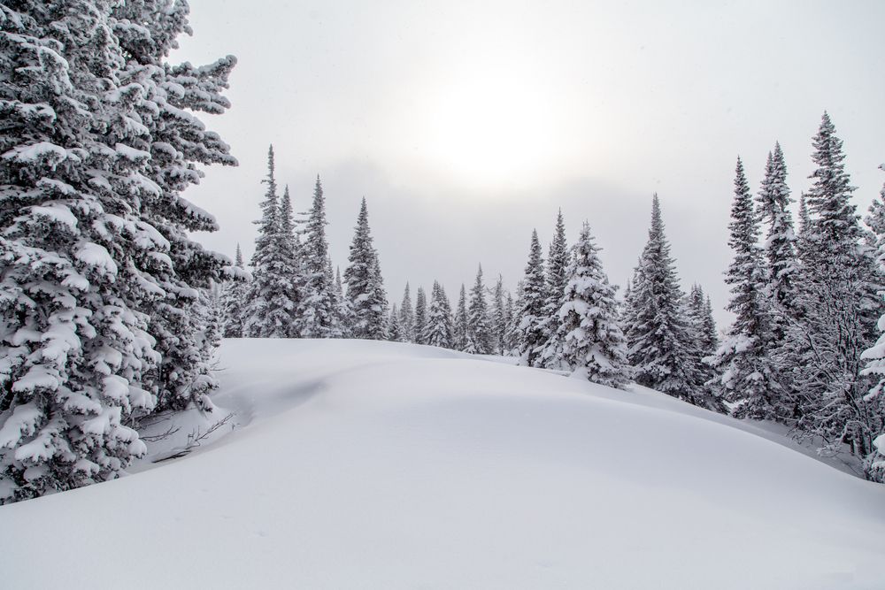Фотография автора Семенов Александр