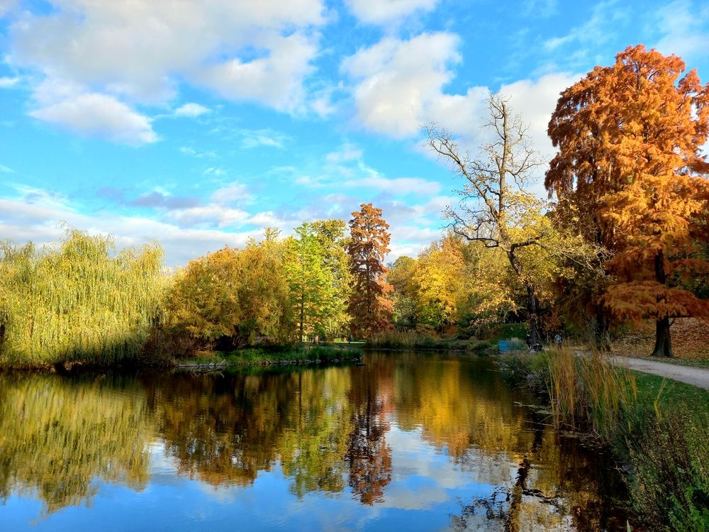 Photograph by Larissa Nayda