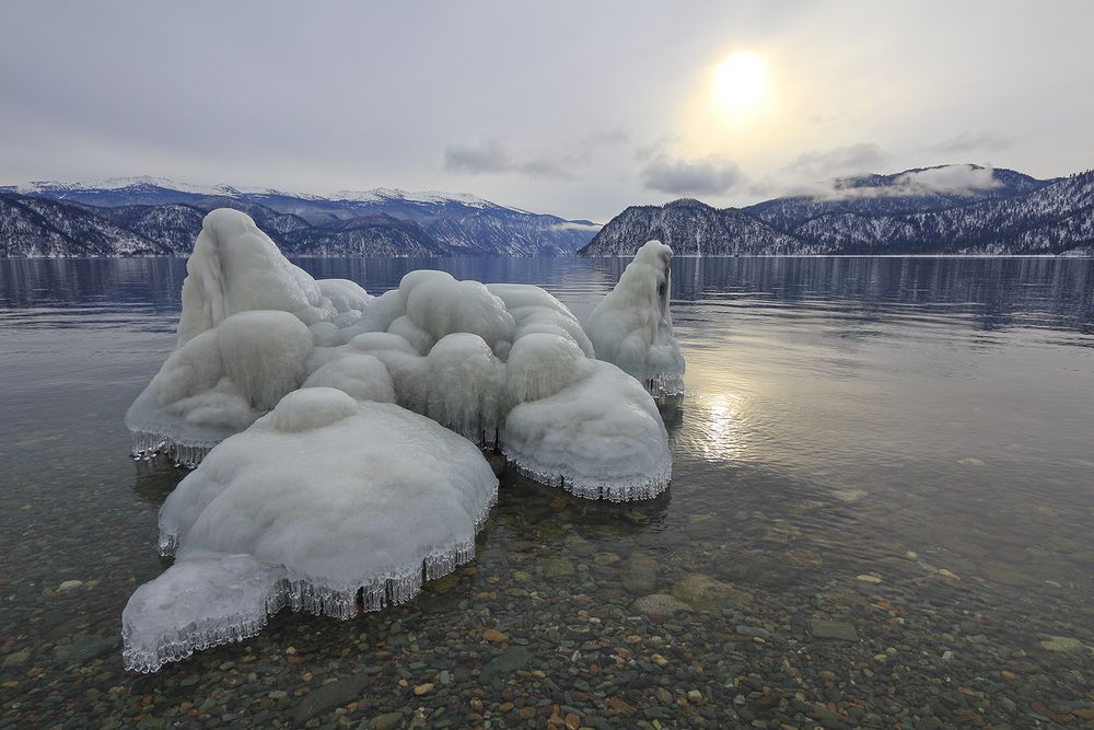 Ледяной зверинец...