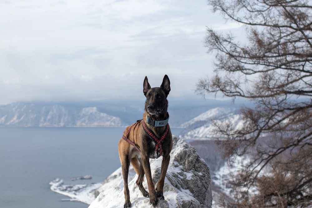 Photograph by Оля Пильвялене