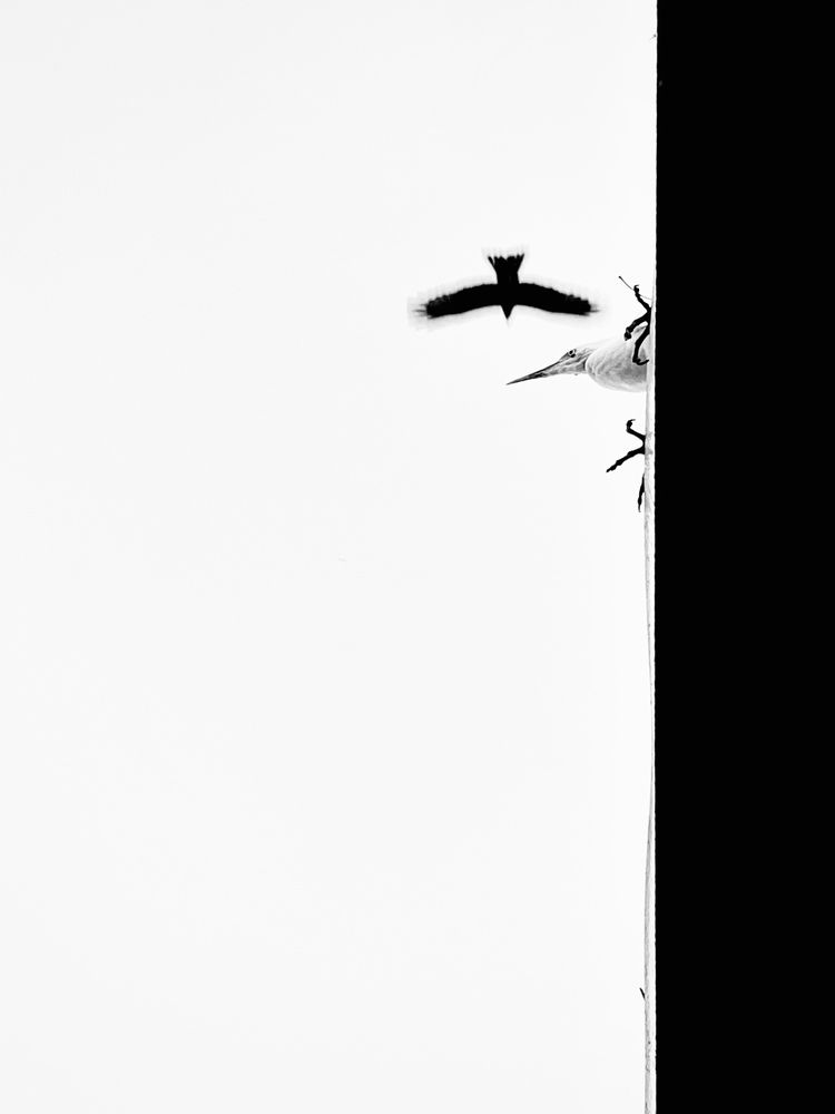 Photograph by Tushar Bhogle