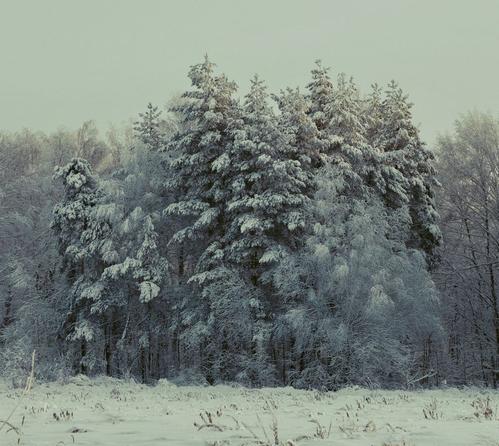 Photograph by Ольга Чибисова