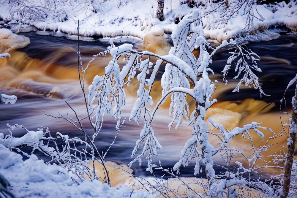 Photograph by Александр Селезнев