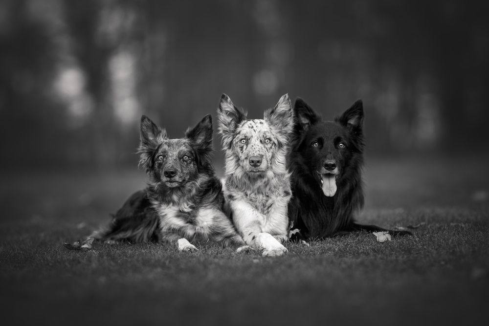 Photograph by Lucie Nermuťová