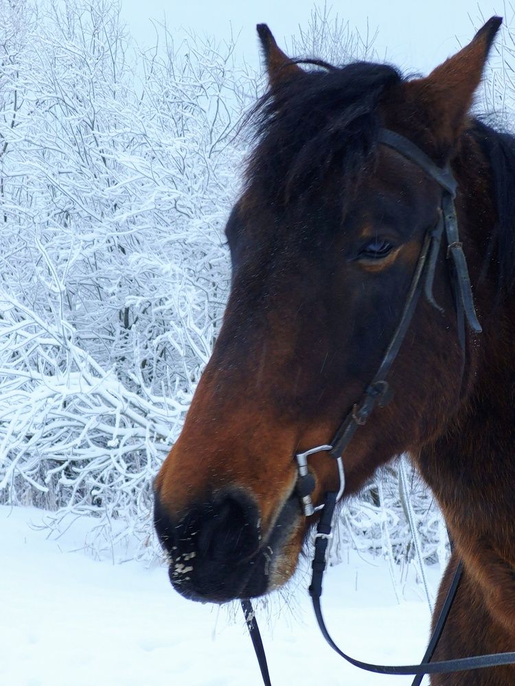 Photograph by Валентина Кузьменко