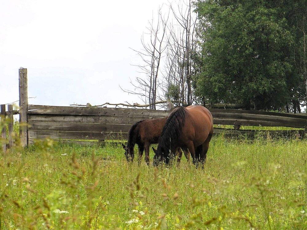 Мать и дитя