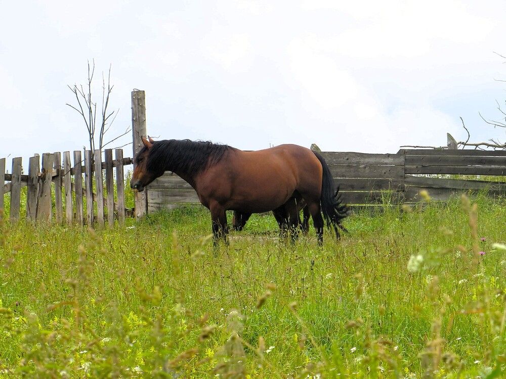 Дождливый день