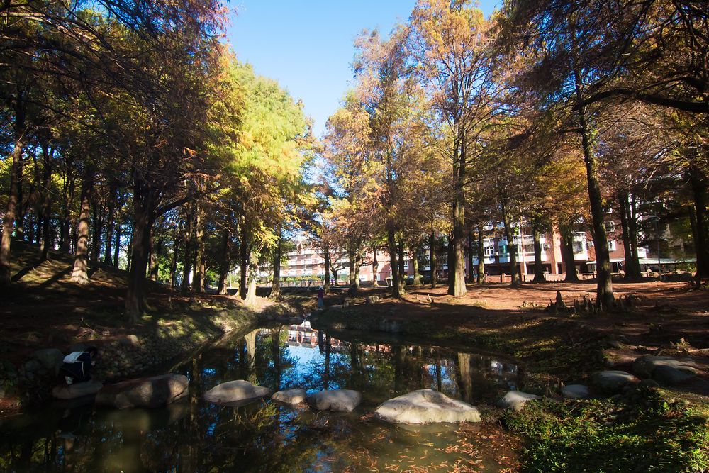 Photograph by 賴清淇