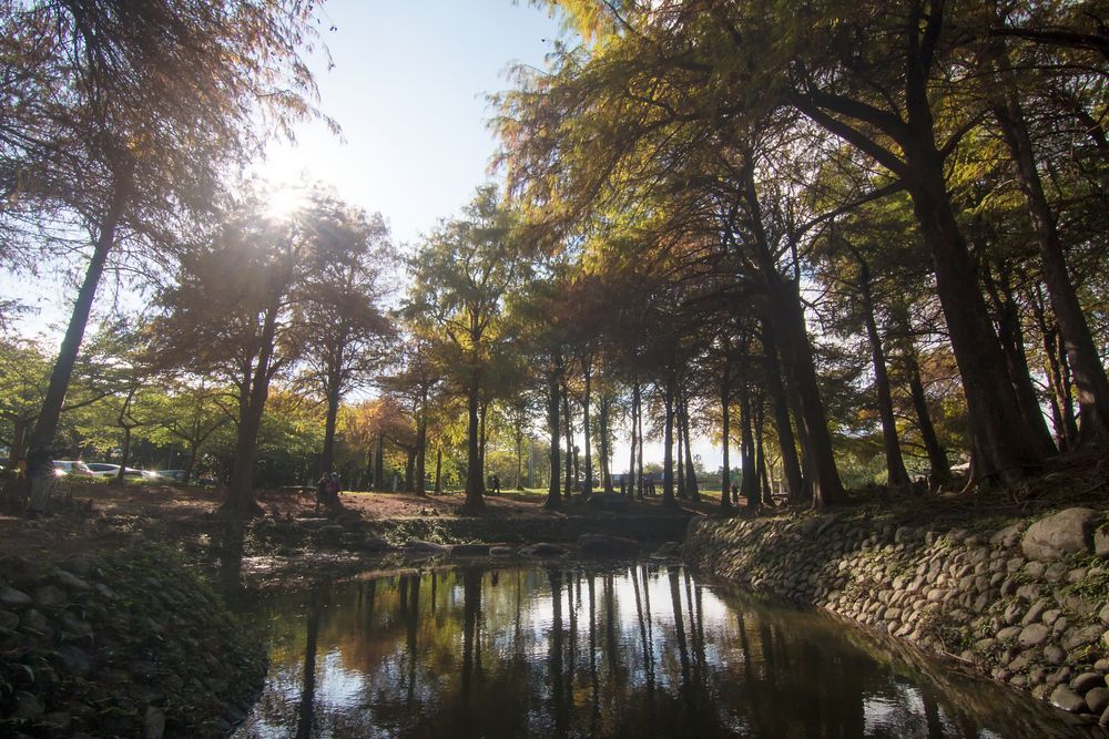 Photograph by 賴清淇