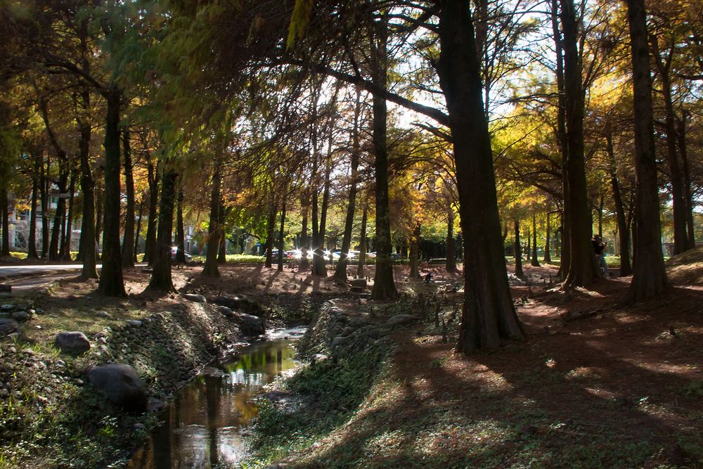 Photograph by 賴清淇