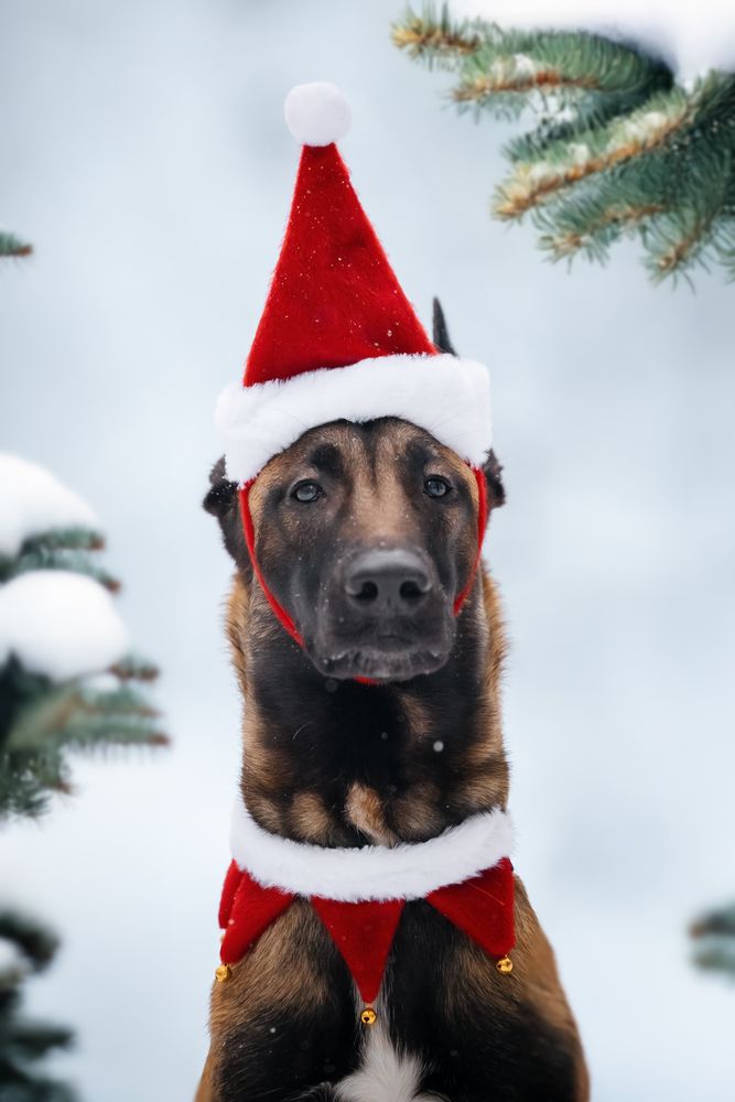 Photograph by Мария Романова