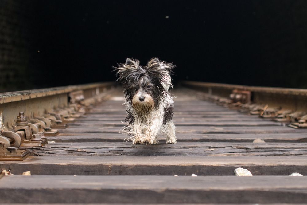 Photograph by Оля Пильвялене