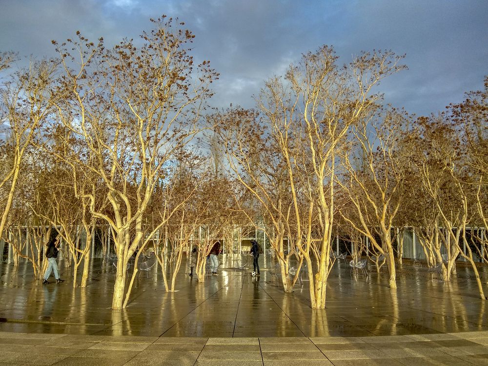 Фотография автора Татьяна Петренко