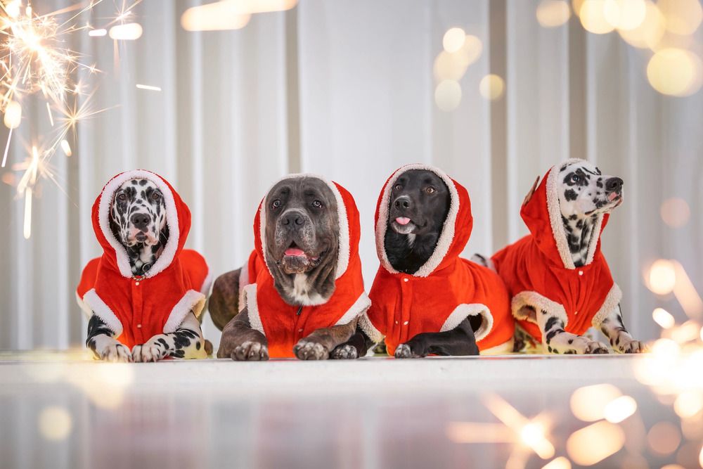 Photograph by Мария Романова