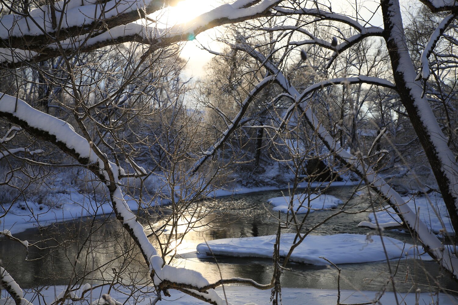 Photo #13059092