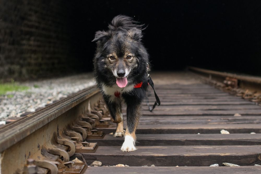 Photograph by Оля Пильвялене