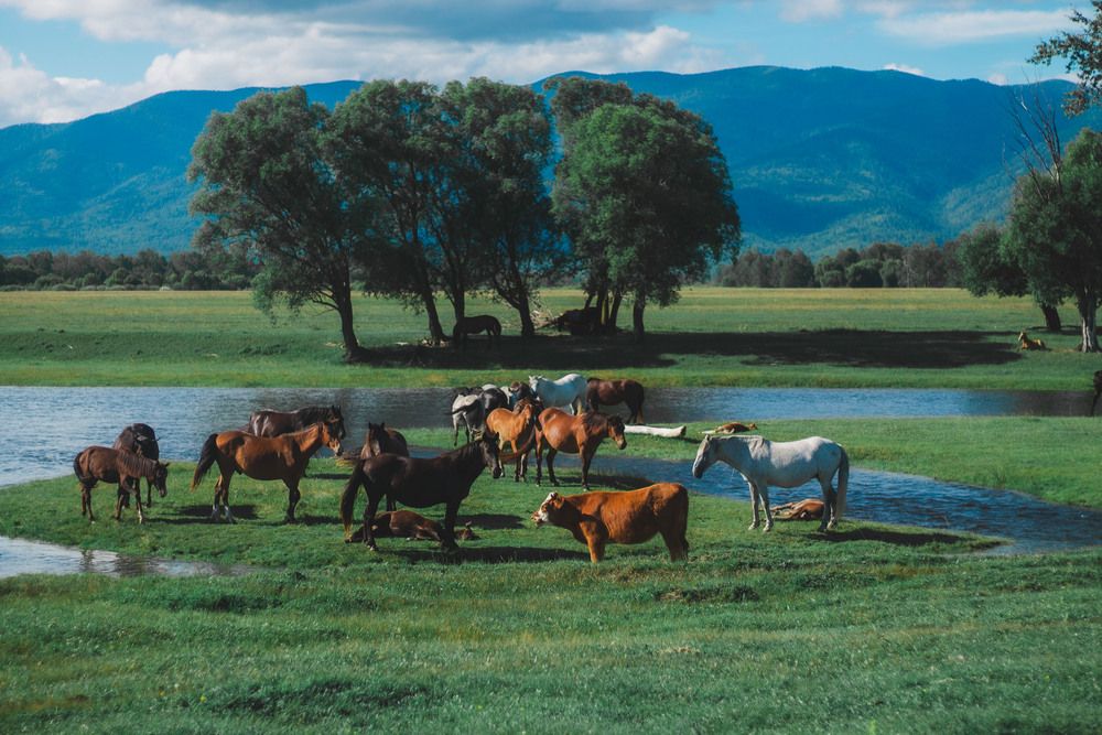 Photograph by Елена Рудь