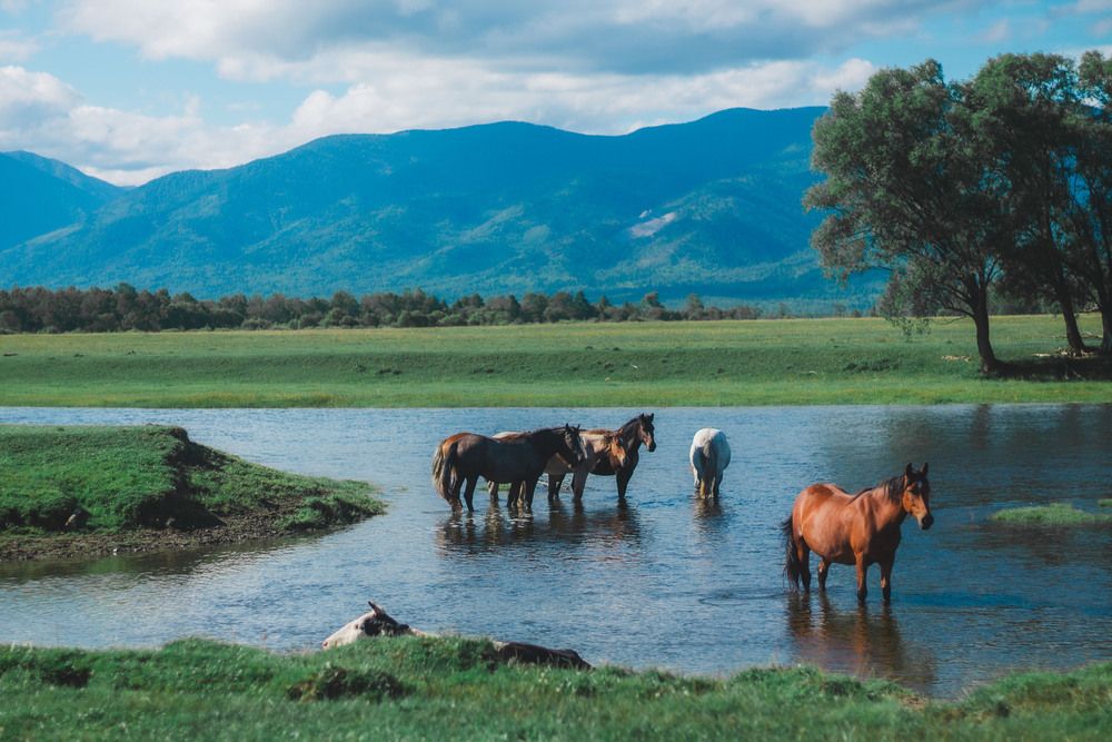 Photograph by Елена Рудь