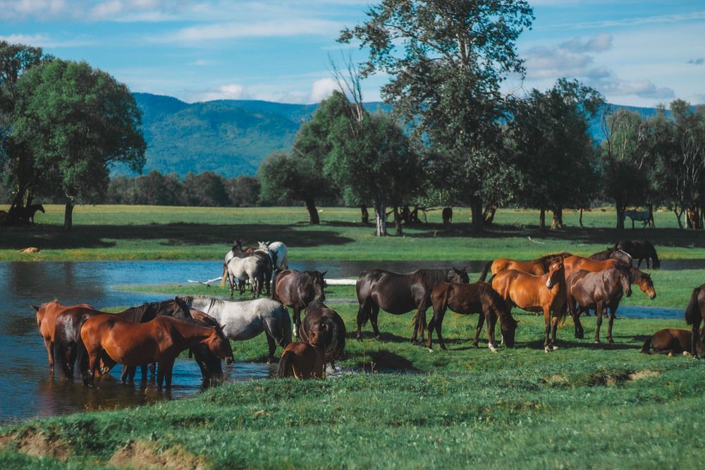 Photograph by Елена Рудь