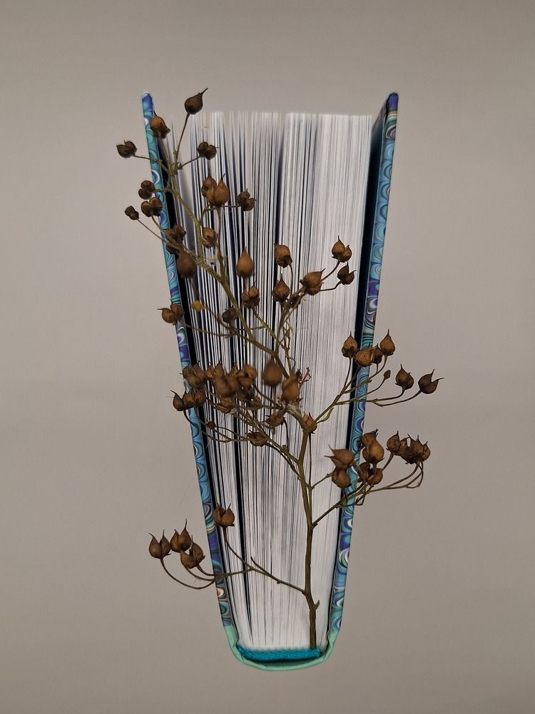 Photograph by Ольга Мольдон