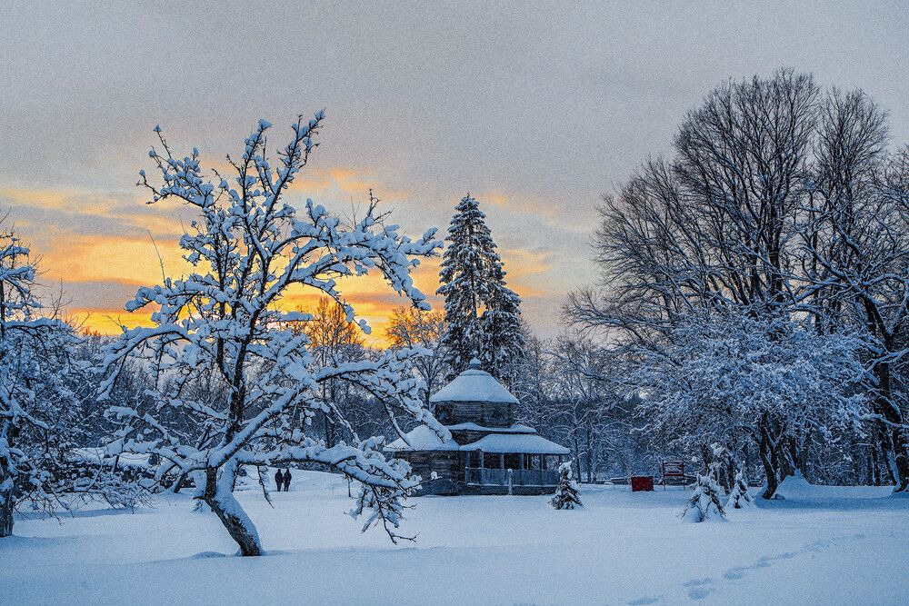 Photograph by Ирина Ларина